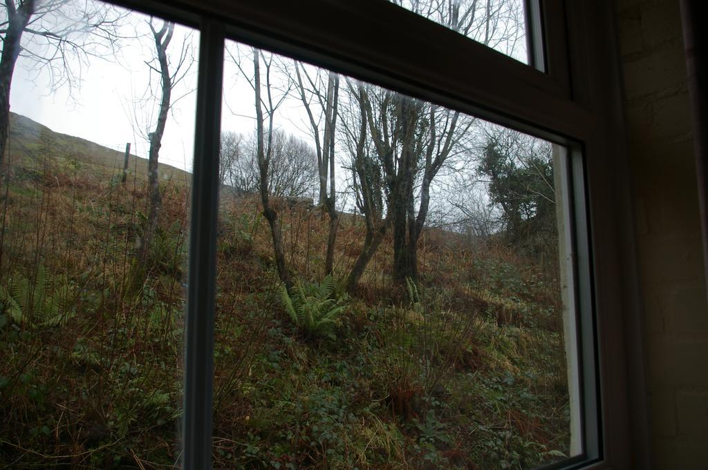 Yha Snowdon Ranger Pansiyon Llanberis Oda fotoğraf